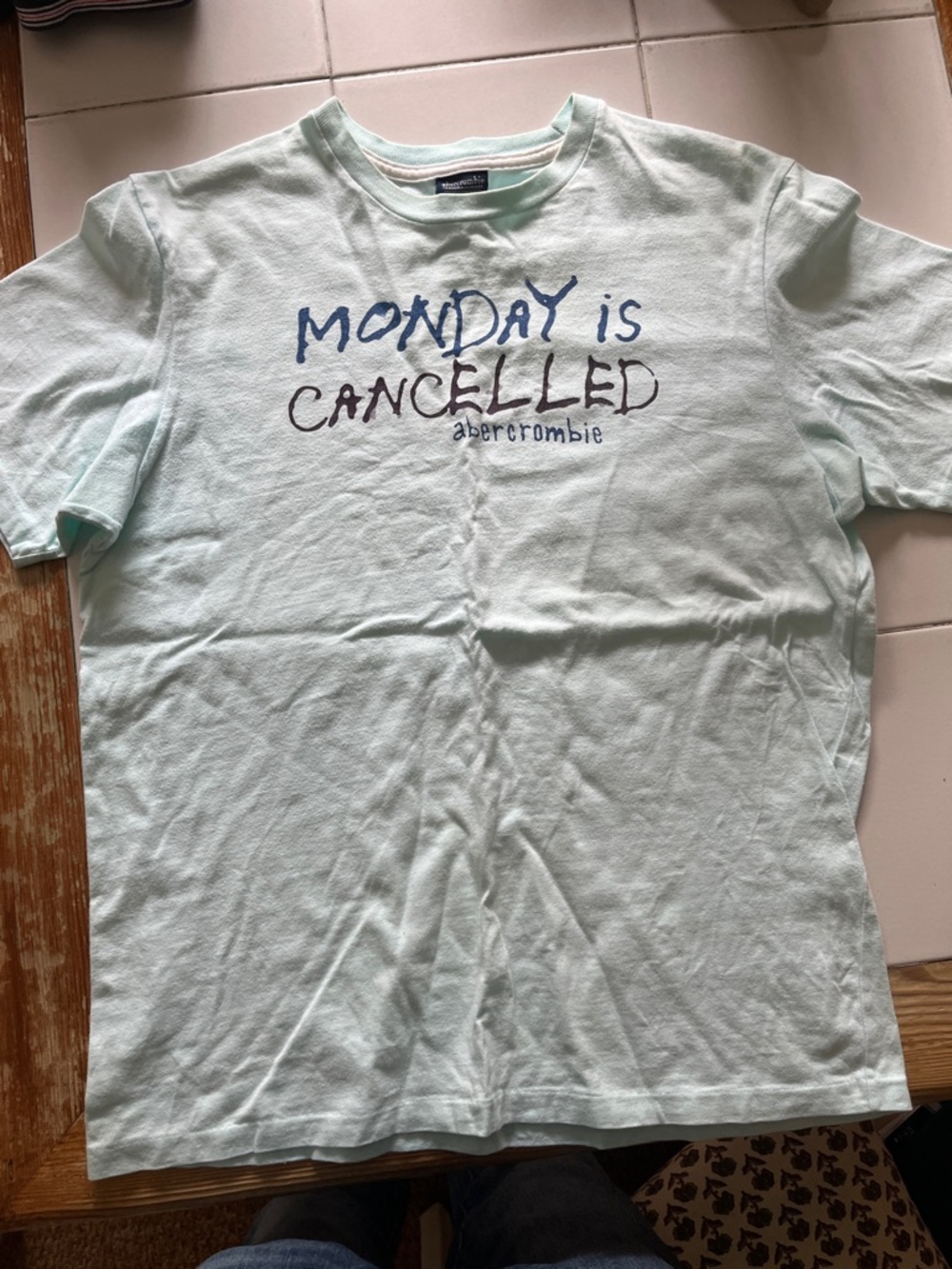 Abercrombie & Fitch Mint and Navy Graphic Crew Tee
